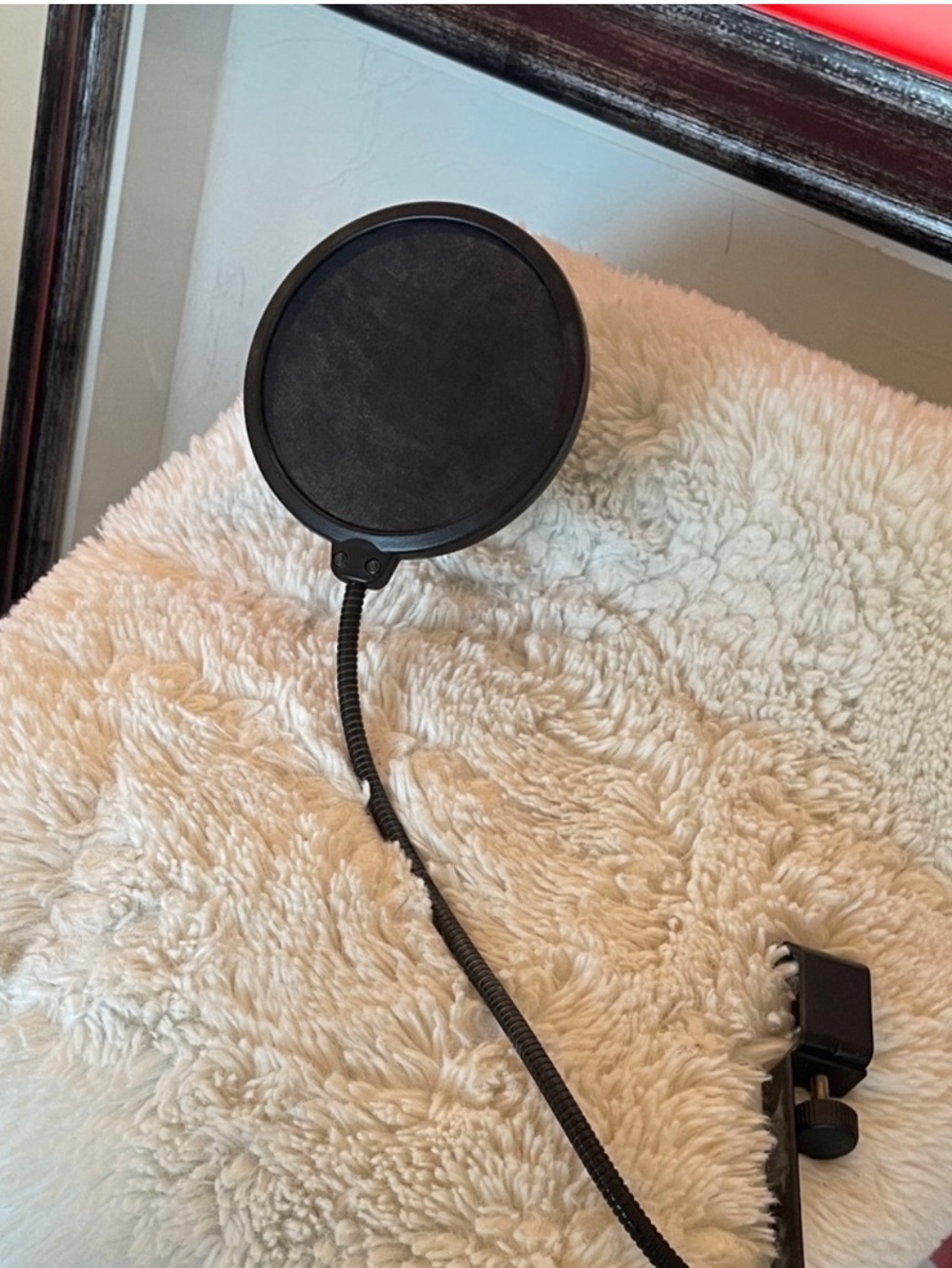 Black Microphone Pop Filter